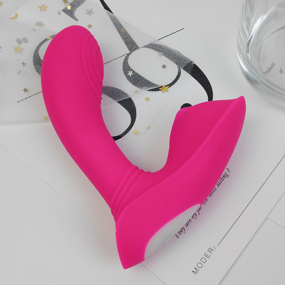 S-HANDE USB Rechargeable 9 Vibration Vagina and Clitoris Stimulation Remote Wireless Wearable Vibrator for Female Couple