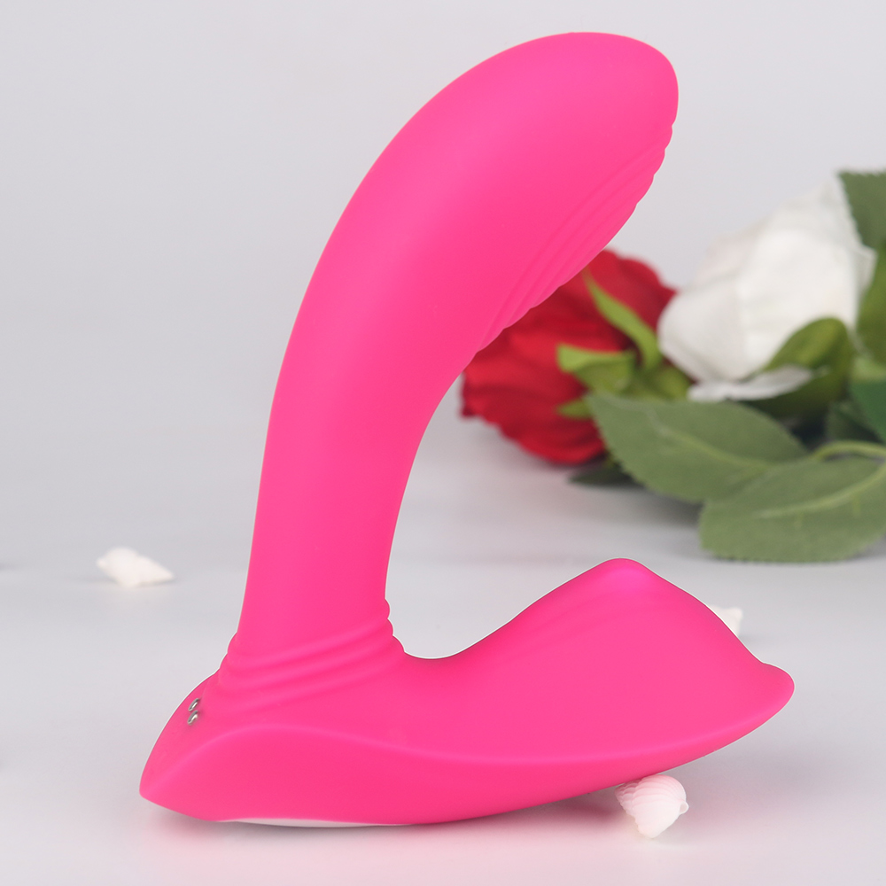 S-HANDE USB Rechargeable 9 Vibration Vagina and Clitoris Stimulation Remote Wireless Wearable Vibrator for Female Couple