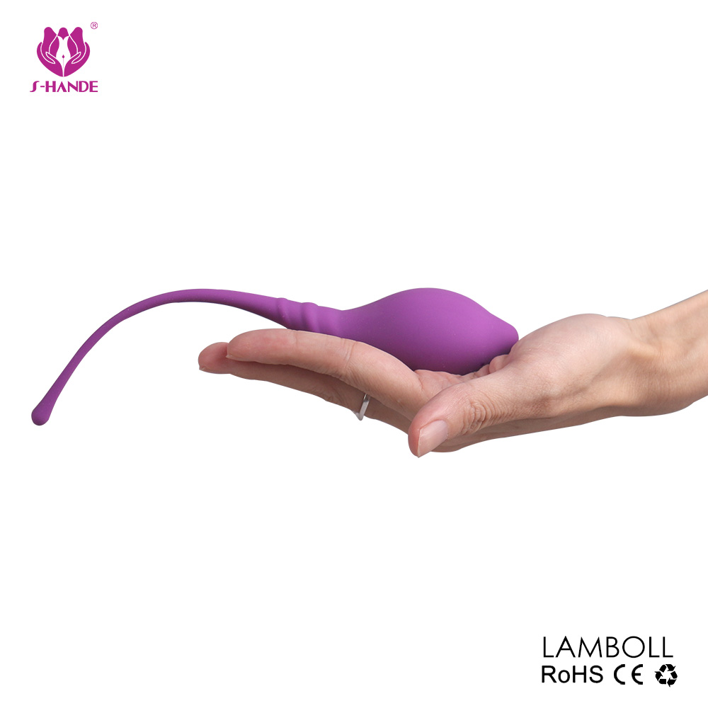 3 Silicone Kegel Balls Kits Vagina Exercise Ben Wa Balls for Women
