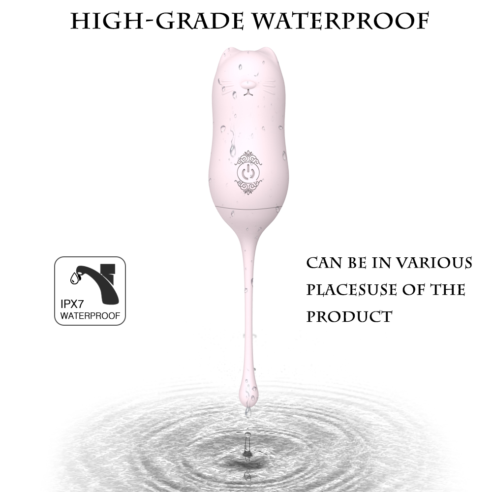 S-HANDE Bola Smart Silicone Kegel Ball Vaginal Remote Control Ben Wa Kegel Weights Balls for Women Vibrator